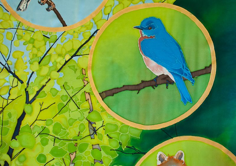 Birch Forest Bluebird