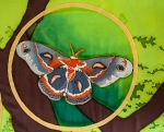 Oak-Forest Cecropea Moth