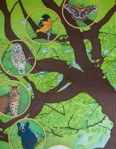 Oak-Forest-Detail