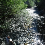 Wild journal 2012 Canyon Creek-8