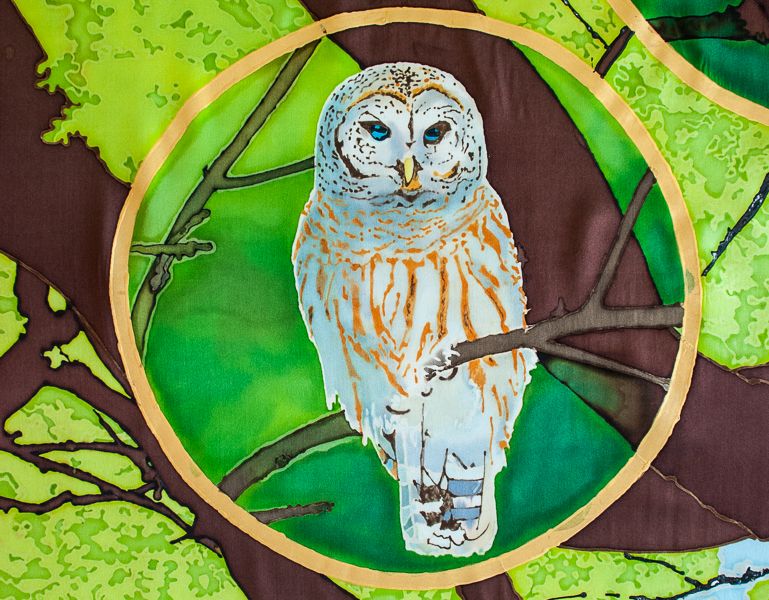 Oak-Forest Barred Owl