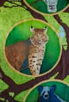 Oak Forest Lynx