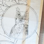 Great Northern Owl