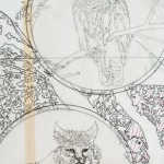 Owl and Lynx