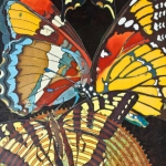 Â©Kristen Gilje, California Sister and Friends, 28x22