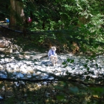Wild journal 2012 Canyon Creek 11