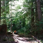 Wild journal 2012 Canyon Creek 13