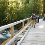 Wild journal 2012 Canyon Creek 24