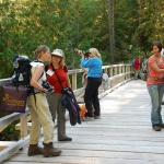 Wild journal 2012 Canyon Creek-26