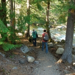 Wild journal 2012 Canyon Creek 28