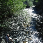 Wild journal 2012 Canyon Creek-8