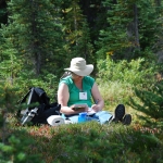 washington-pass-meadow-10
