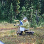 washington-pass-meadow-14-2