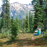 washington-pass-meadow-14
