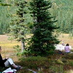 washington-pass-meadow-17