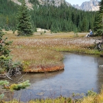 washington-pass-meadow-27