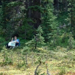 washington-pass-meadow-3