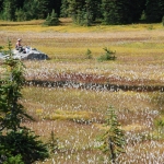washington-pass-meadow-30