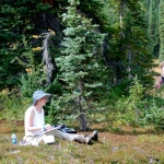 washington-pass-meadow-4