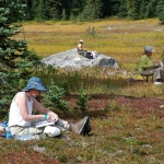 washington-pass-meadow-6