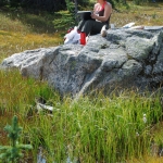washington-pass-meadow-8-2