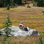 washington-pass-meadow-9