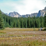 washington-pass-meadow
