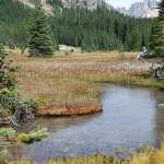 washington-pass-meadow-27