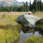 washington-pass-meadow-5-2