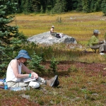 washington-pass-meadow-6