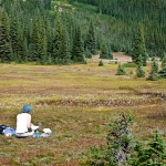 washington-pass-meadow-7