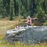 washington-pass-meadow-9-2