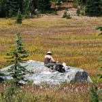 washington-pass-meadow-9